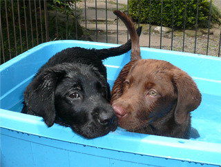 CHOCO&MINT.jpg