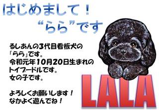 ららです.jpg