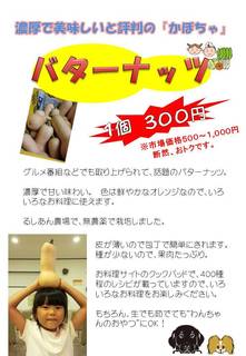 バターナッツ販売チラシ.jpg