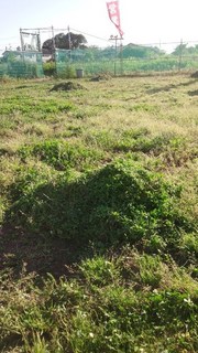 IMG_20160512_163836.jpg