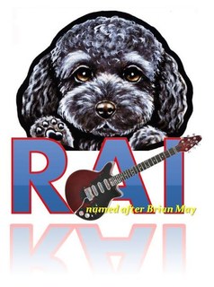 RAI.jpg