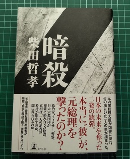 ansa01.jpg