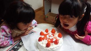 cake03.jpg