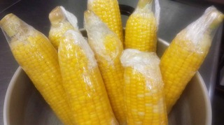 cornhozon01.jpg