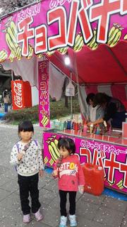 hanami01.jpg