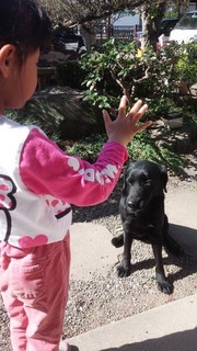 handsignal02.jpg