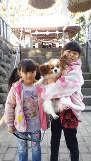 hatsumodesaramira01.jpg