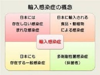 kansen01.jpg