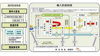 kansen02.jpg