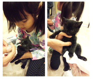 kiki001.jpg