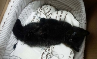 kiki002.jpg