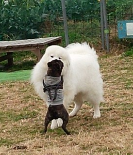 lovelove.jpg