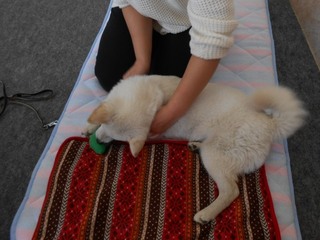 massage02.jpg