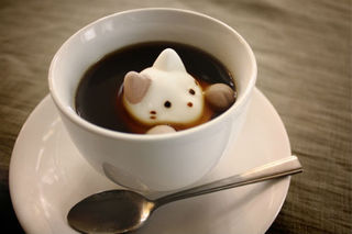 nekocafee.jpg