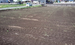 newtanbo201901.jpg