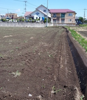 newtanbo201902.jpg