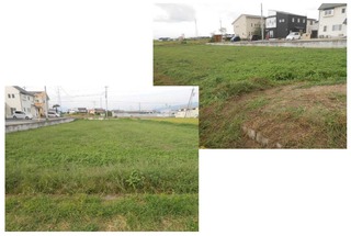 oyakata001.jpg
