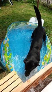 pool03.jpg
