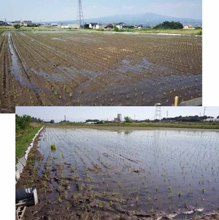 shimizutaue002.jpg