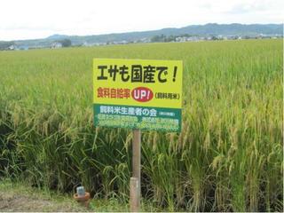 shiryomai01.jpg
