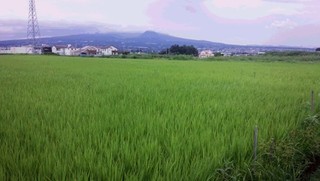 tanbo01.jpg