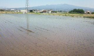 taue.jpg
