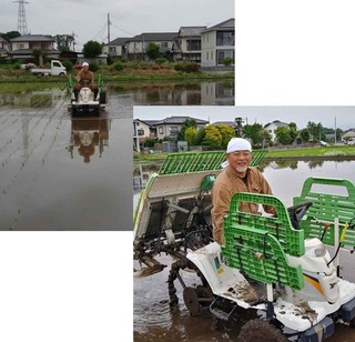 taue2019.jpg