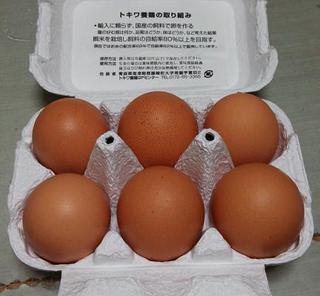 tokiwatamago02.jpg