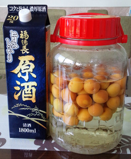 umeshu001.jpg