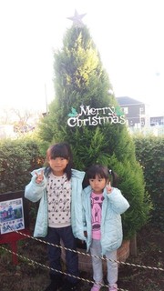 xtree01.jpg