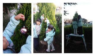 xtree02.jpg