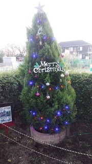 xtree03.jpg
